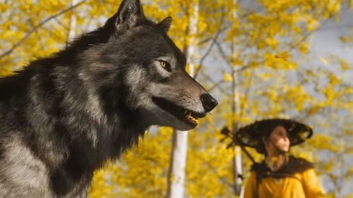 تاریخ انتشار نقد GhostofYotei